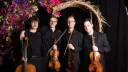 Chroma String Quartet